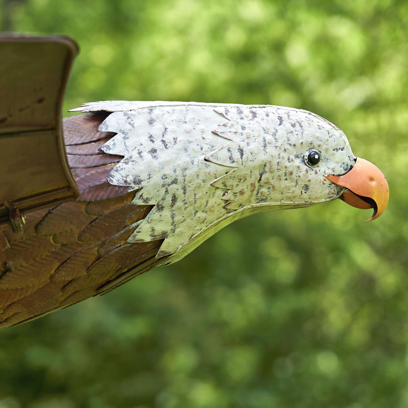 ZaerLtdInternational Flying Eagle Garden Stake Wayfair